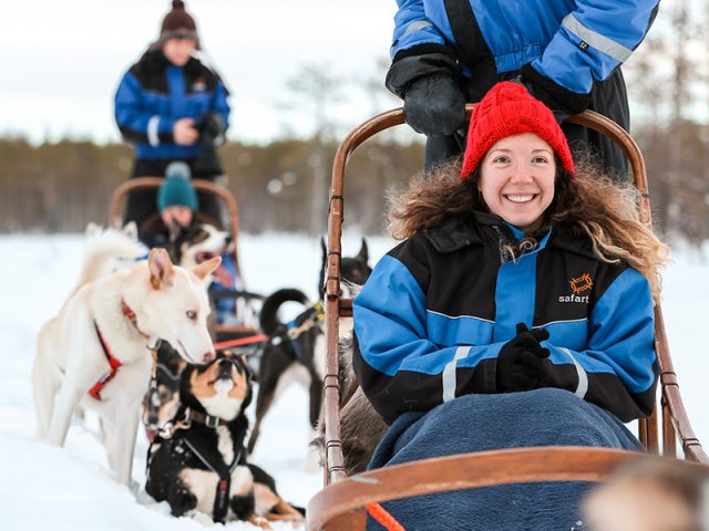 Husky sleigh ride in Lapland